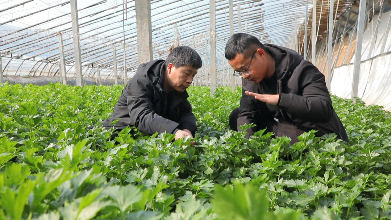 图片默认标题_fororder_泊头4