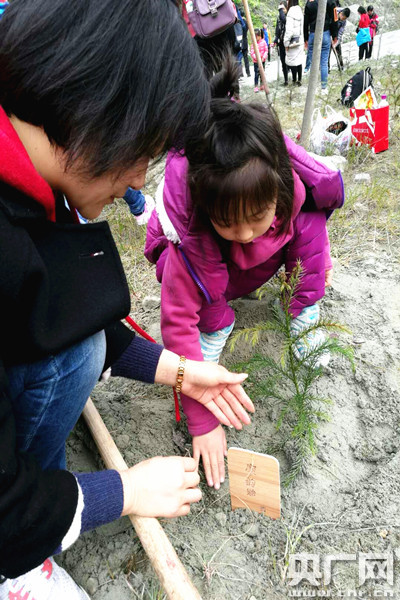 （导航阿坝）500余名四川网友到汶川植树 10年间植树6000余株
