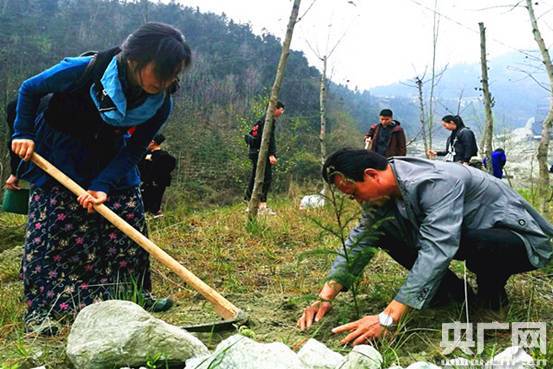 （导航阿坝）500余名四川网友到汶川植树 10年间植树6000余株