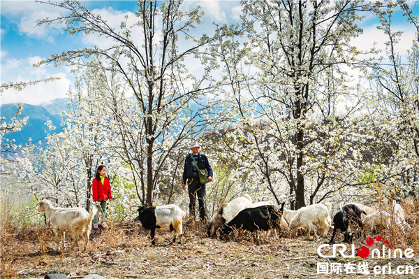 图片默认标题_fororder_6、梨园牧歌-摄影-胡佑旭