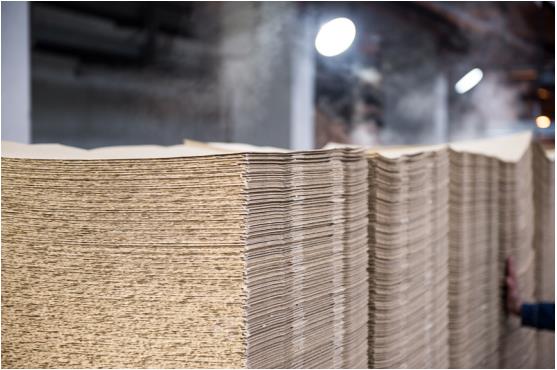 唱多竹浆纸行业发展 永丰纸业助力将其打造成