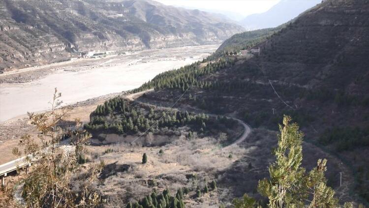 “不留一寸荒山”——陕西宜川“悬崖造林队”种树记