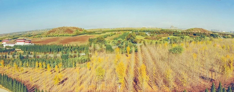 秦汉新城:西安“北跨”第一站_fororder_图片52