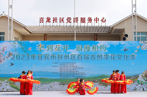 2023年宜宾市叙州区首届古树李花文化季举行_fororder_活动演出现场-摄影-何芳