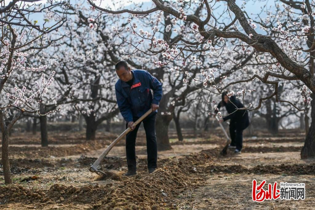 图片默认标题_fororder_hebnewsimg (2)