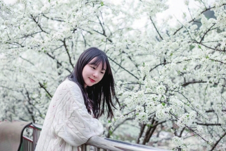 （今日热点2，导航成都，移动端）成都周边赏花攻略出炉 快去赏花赏叶赏“春光”