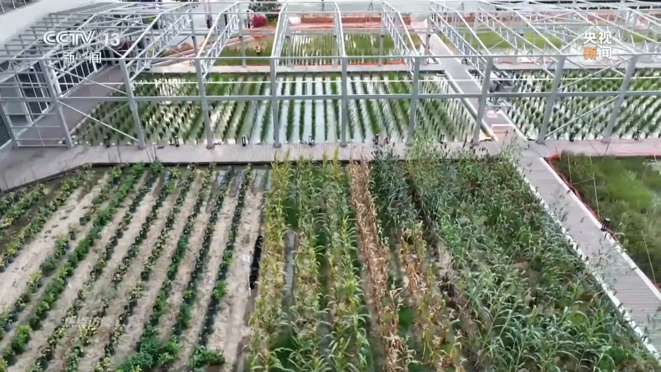 tp钱包怎么提现视频-tp钱包币安链怎么卖币-以太坊和比特币区块链钱包插图12