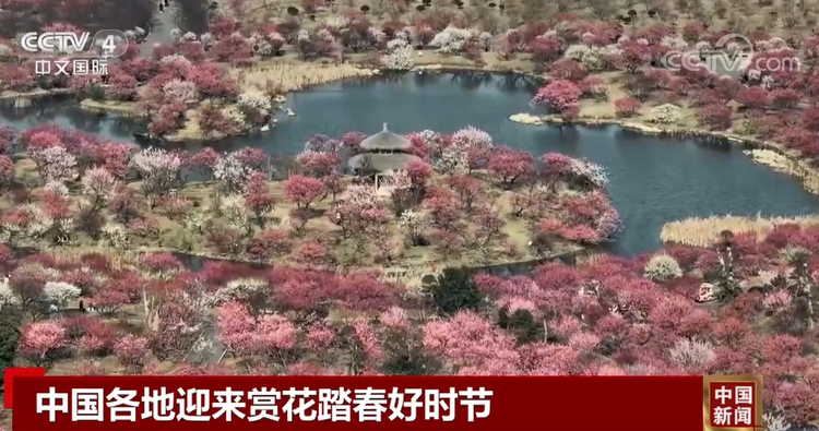 中国各地迎来赏花踏春好时节