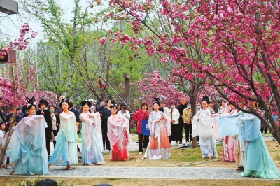 第九届中国（鹤壁）樱花文化节开幕