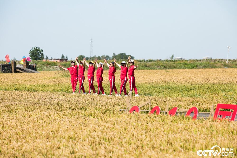 央视网：【新时代东北振兴】滩红苇绿 稻蟹飘香 看辽宁盘锦的“醉