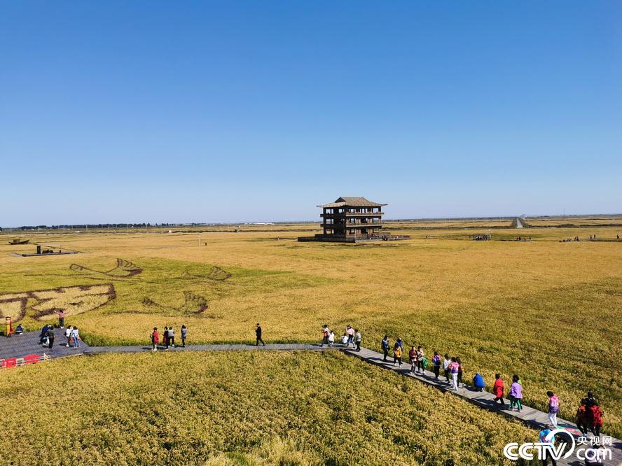 央视网：【新时代东北振兴】滩红苇绿 稻蟹飘香 看辽宁盘锦的“醉