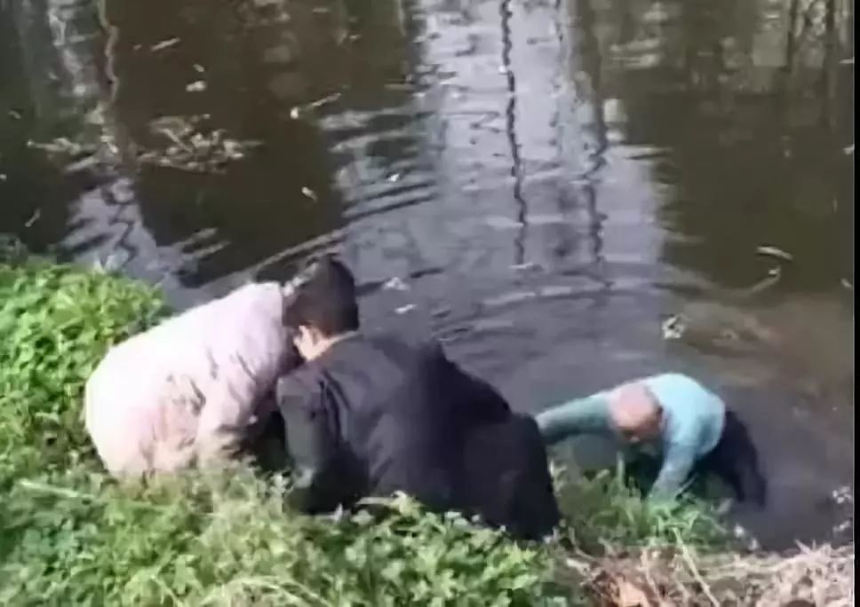 「人民日报」出门旅游遇车祸，“硬核”大爷一声吼连救12人