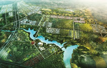 国际在线■“这个市场比世界上任何一个市场都更有活力”│驻华外