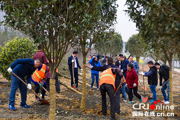 图片默认标题_fororder_2