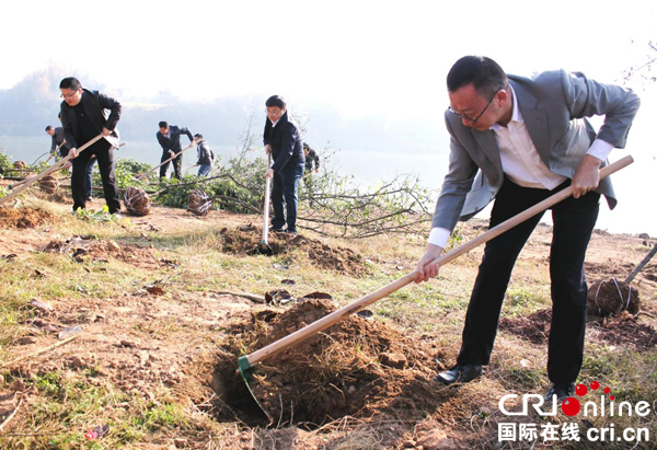 图片默认标题_fororder_曹友良带头植树
