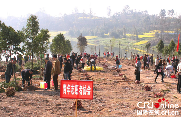 图片默认标题_fororder_植树现场