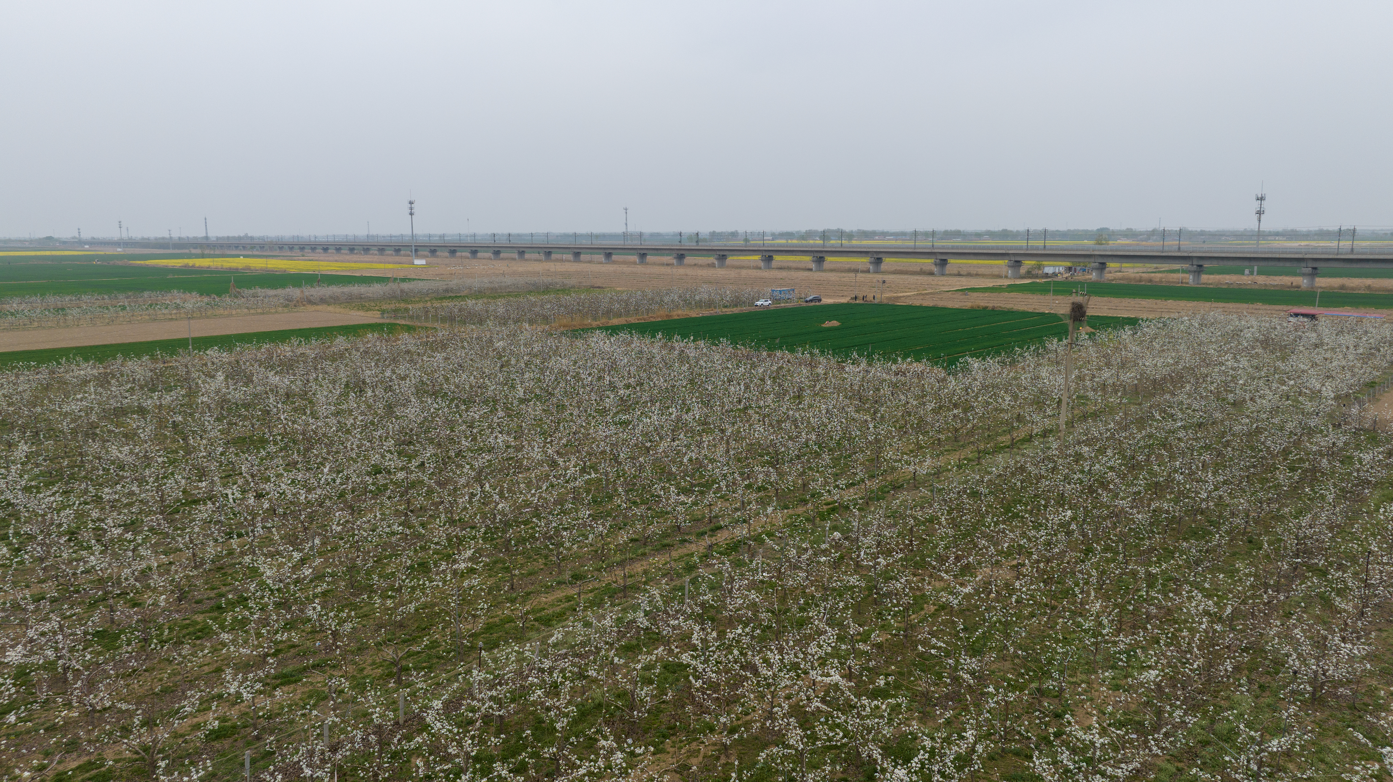 图片默认标题_fororder_图片19