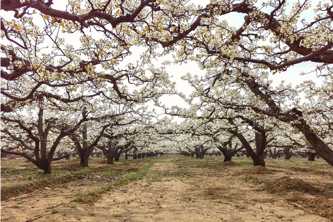 图片默认标题_fororder_图片51