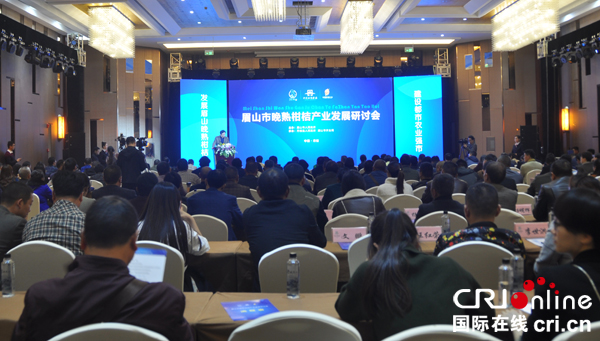 图片默认标题_fororder_研讨会现场。摄影--张清锐