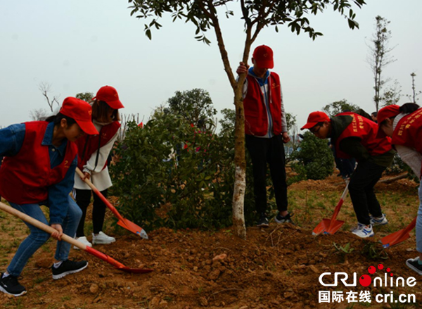 图片默认标题_fororder_活动现场