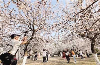 图片默认标题_fororder_微信图片_20230310084019