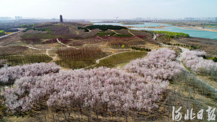 河北石家庄:乐享春日好时光_fororder_2