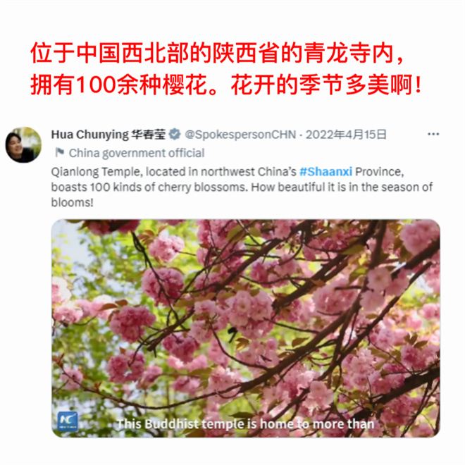 【陕耀国际·20期】魅力源于实力 多位外交官为陕西“代言”_fororder_4