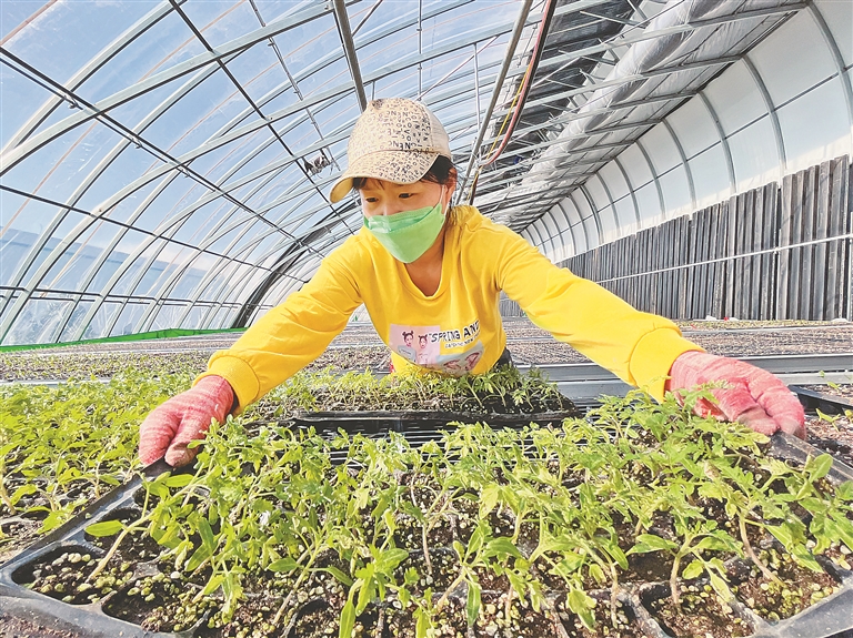 黑土地 春天的沸腾