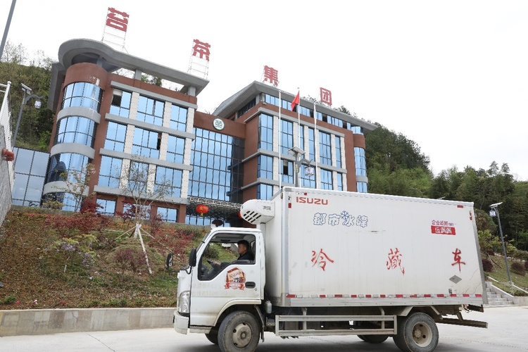 (供稿)贵州石阡:千年苔茶焕新机 “绿叶子”鼓起“钱袋子”_fororder_图片5