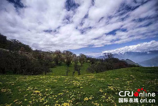 图片默认标题_fororder_松坪沟花开成海