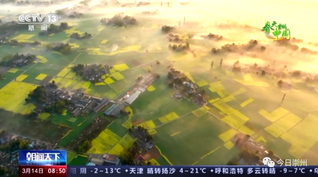 (转载)花重锦城,崇州独占三分春色