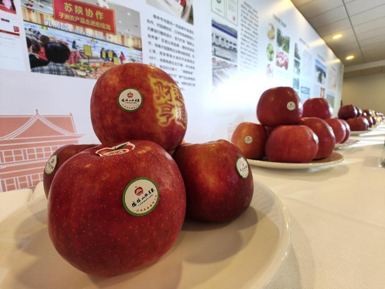 榆林山地苹果区域公用品牌战略发布会在京举行_fororder_图片4