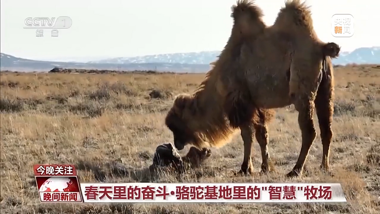 科技赋能“菜篮子” 各地品春鲜 尝春意