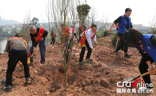 图片默认标题_fororder_3