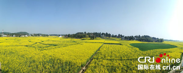 图片默认标题_fororder_4、玉皇镇金灿灿的油菜花（李春晖摄）