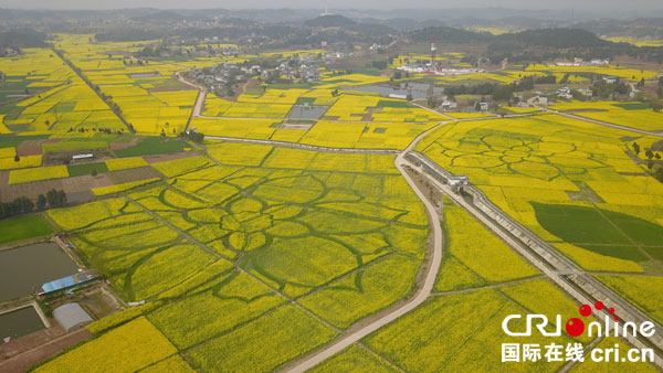 图片默认标题_fororder_2、玉皇镇油菜花田中镶嵌了两朵“盛开”的花（李春晖摄）