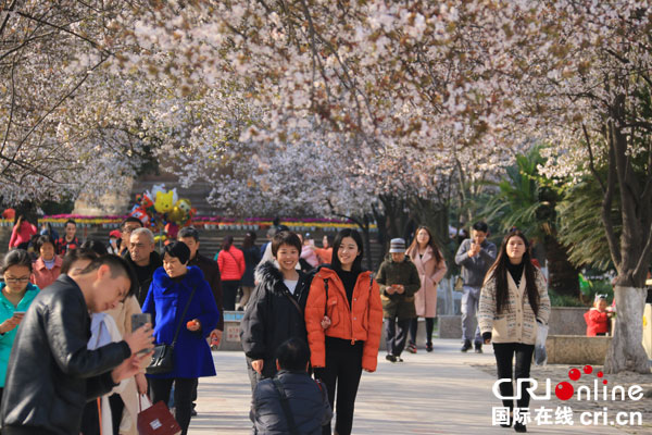 图片默认标题_fororder_5、人与花（洪刚摄）