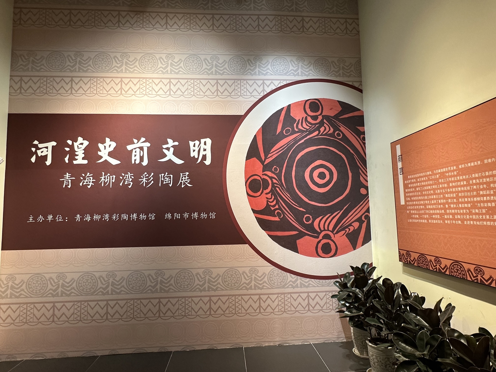 (转载)到绵阳市博物馆,赏彩陶上绽放的史前艺术之花