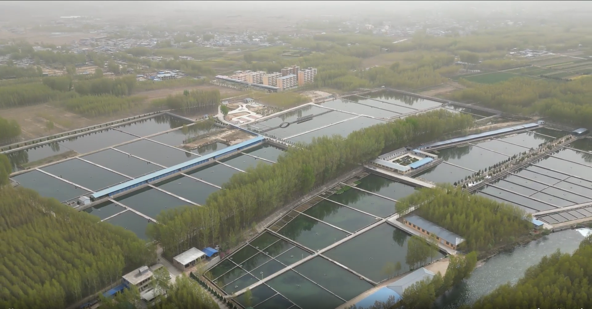 图片默认标题_fororder_图片63