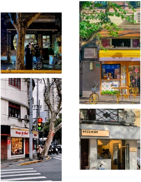 【图说上海】上海：助力“青年小店” 留住城市温度和烟火气