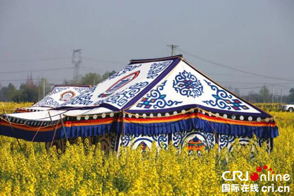 图片默认标题_fororder_油菜花地里建起了马尔康特色帐篷