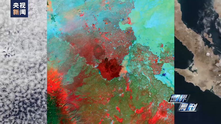 世界周刊丨中东和解“快车道”