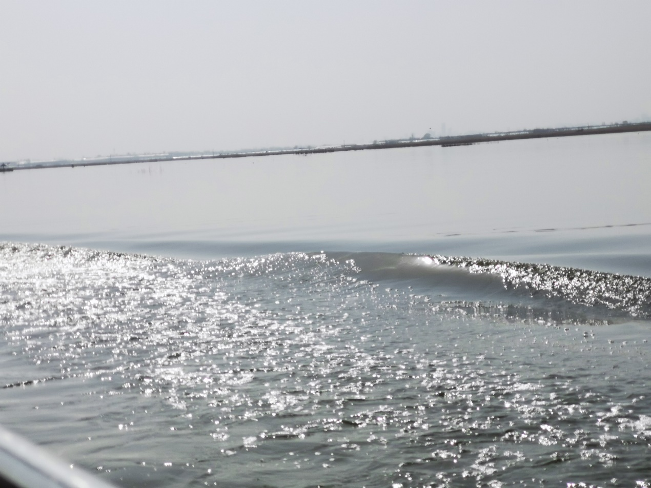 打卡渭南鸟类栖息圣地 多国“Z世代”青年共“画”陕西大荔朝邑国家湿地公园_fororder_图片7