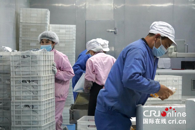 黄河岸边景色新 多国“Z世代”青年共绘古城多彩画卷 黄河岸边景色新 多国“Z世代”青年共绘古城多彩画卷_fororder_图片44