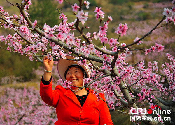 图片默认标题_fororder_1