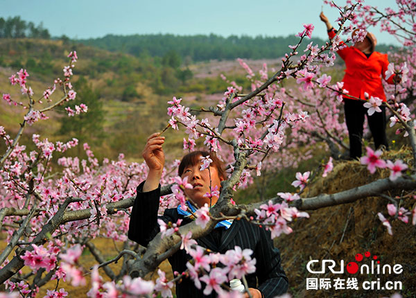 图片默认标题_fororder_2