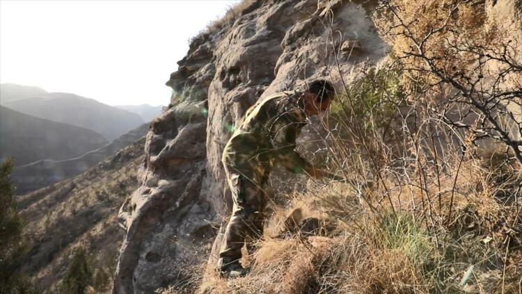 “不留一寸荒山”——陕西宜川“悬崖造林队”种树记