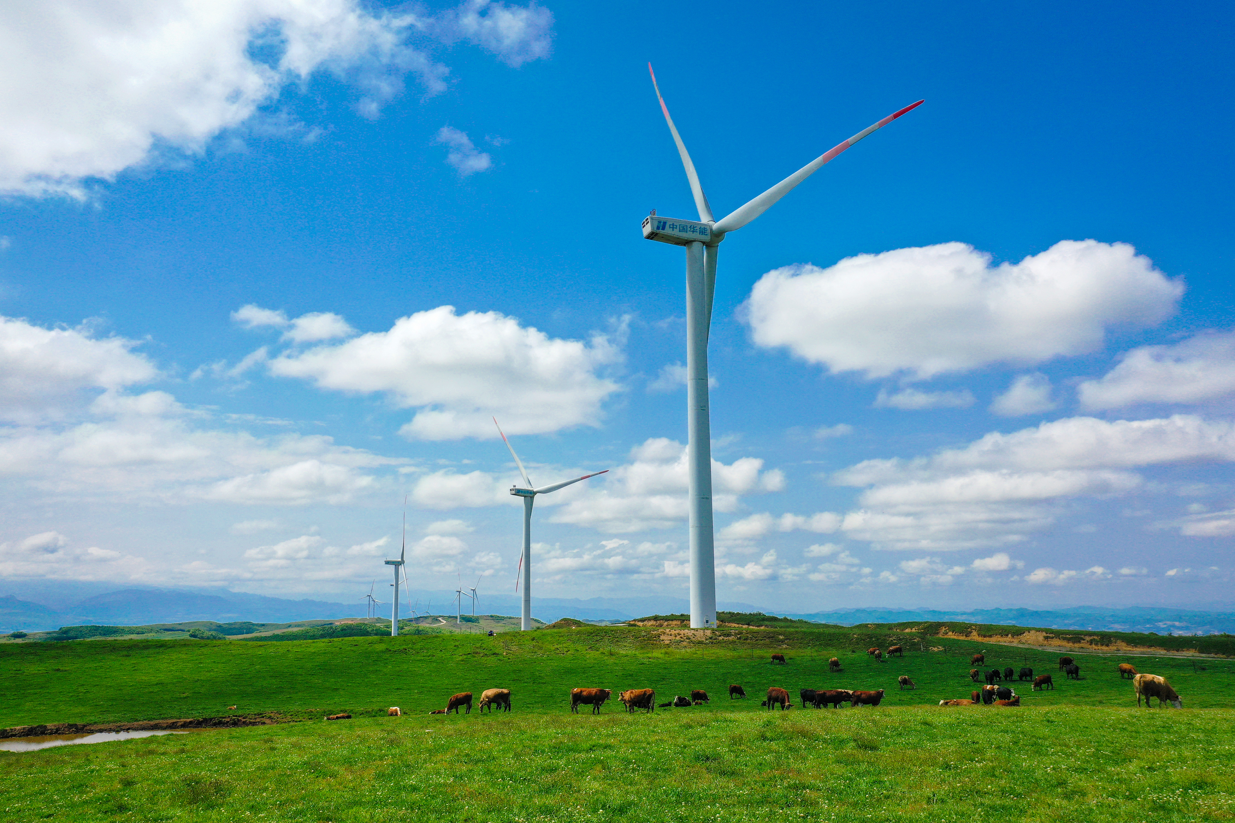 贵州威宁发布100个“四化”产业招商项目,邀您来投资!_fororder_微信图片_20230329114301