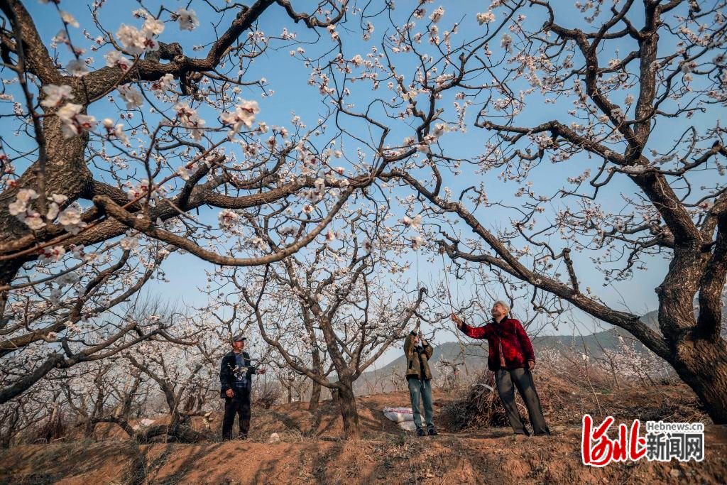 图片默认标题_fororder_hebnewsimg