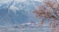 拉薩：山寺桃花引客來_fororder_rBABCWQmVMGAfJysAAAAAAAAAAA991.768x1024